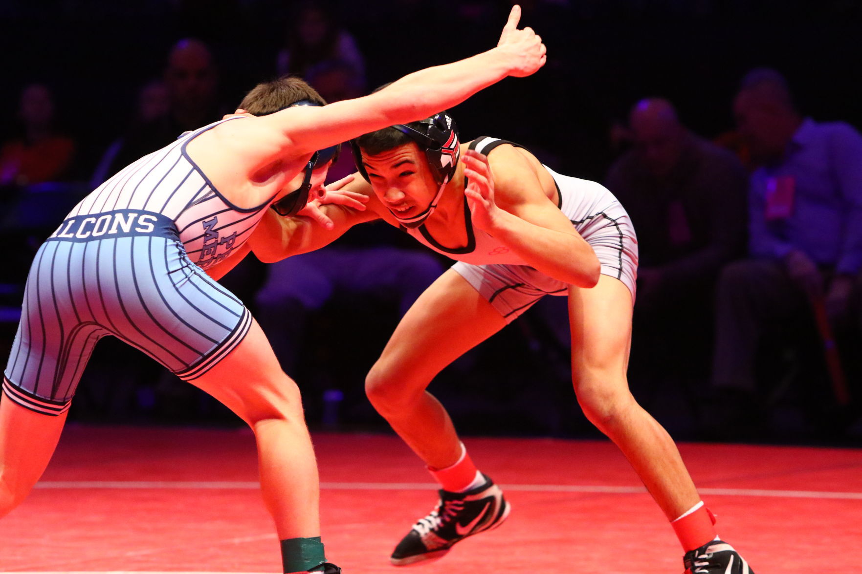 Gallery: Wrestling State Finals